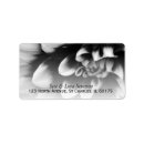 Search for dahlia return address labels Flowers
