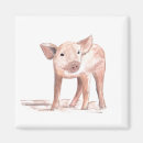Search for piglet magnets Farm