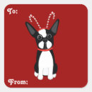 Search for boston stickers Animals