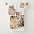 Search for tabi Kitten