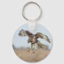 Search for hawks key rings Predator