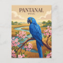 Search for macaws postcards Travel