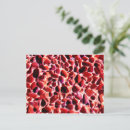 Search for pebble postcards Sea