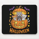 Search for food mouse mats Photography