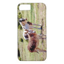 Search for mule iphone cases Donkey