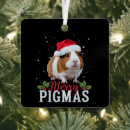 Search for guinea pig christmas decor Santa