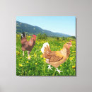 Search for rooster chicken canvas prints Cockerel