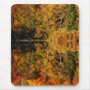 Search for pond reflection mouse mats Foliage