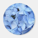 Search for blue hydrangeas magnets Floral