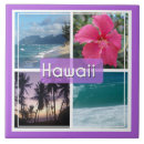Search for seascapes tiles Palm trees