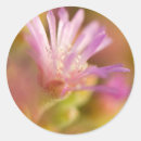 Search for flower images stickers Botany