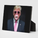 Search for bubble plaques Usa