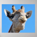 Search for giraffe pattern photography Africa