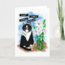 Search for cat quote cards Kitty