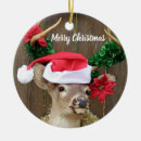 Search for whitetail deer christmas tree decorations Hunting