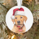 Search for red lab christmas tree decorations Cute