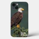 Search for bald eagle cases Bird