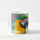 Search for ara drinkware Parrot