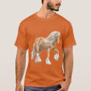 Search for gypsy vanner horse Cute