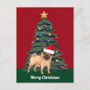 Search for pug postcards Adorable