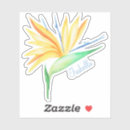 Search for water island stickers Summer