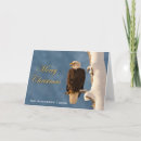 Search for bald eagle christmas cards Bird