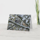 Search for grey squirrel cards Snow