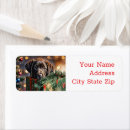 Search for labrador return address labels Xmas