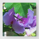 Search for sharon art Flowers
