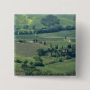 Search for siena badges Sergio pitamitz