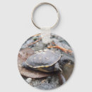 Search for baby turtle key rings Animal