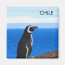Search for chile magnets Torres del paine