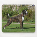 Search for boxer dogs mouse mats Brindle