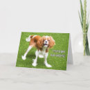 Search for dog surgery get well cards Puppy