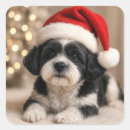 Search for shih tzu dog stickers Black