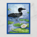 Search for loons postcards Nature