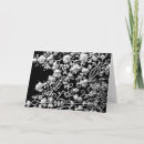 Search for embroidery invitations Flowers