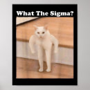 Search for internet meme posters Cats