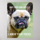 Search for tricks posters Funny