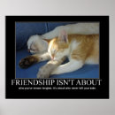 Search for inspirational cat posters Kittens