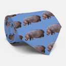 Search for kaba Hippopotamus