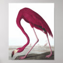 Search for vintage flamingo art Nature