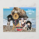 Search for pirate day postcards Pirates