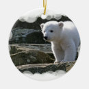 Search for north pole christmas tree decorations Wildlife