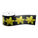 Search for daffodil ribbon Yellow flowers