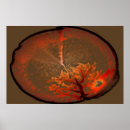 Search for decorator posters Artist