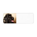 Search for labradoodle return address labels Poodle