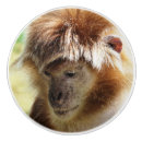 Search for monkey knobs and pulls Animal