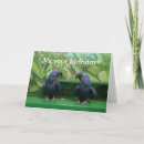 Search for parrot birthday cards Pets
