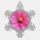 Search for hibiscus christmas tree decorations Photography